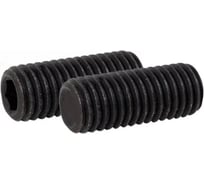 Установочный винт ЦКИ Глобал DIN913, М4x3 мм, 45H ОКС, HEX 2.0, 100 шт. 54235