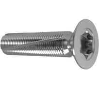 Резьбонарезающий винт ЦКИ Глобал DIN7516DE М3х20 Ц TX10 уп. 500 шт. 63764