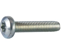 Резьбовыдавливающий винт ЦКИ Глобал DIN 7500C, М4х6, Ц, TX20, 500 шт. 68091