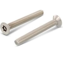 Антивандальный винт ЦКИ Глобал ART.9123, М4x40, A2, TX TR 20, 100 шт. 71363