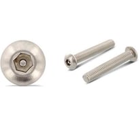 Антивандальный винт ЦКИ Глобал арт.9111/88113 М5x12, А2, HEX TR 3.0, ISO7380, 20 шт 76735