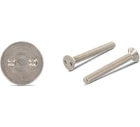 Антивандальный винт ЦКИ Глобал ART. 9103, М6x50 A2 SP1/4 10 шт. 75723