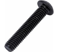 Винт ЦКИ Глобал ISO 7380, М6х30 пр. 10.9, ОКС, 100 шт 61335