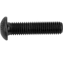 Винт ЦКИ Глобал ISO 7380, М10х40 пр. 10.9, ОКС, 50 шт 61330