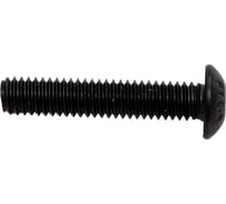 Винт ЦКИ Глобал ISO 7380, М4x20, 10.9, ОКС, 125 шт. 38344