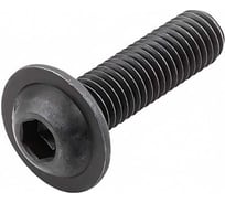Винт с фланцем ЦКИ Глобал ISO 7380-2, М6x25, 10.9, ОКС, 100 шт. 48072