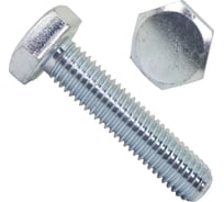 Болт STEELREX DIN 933 кл 5,8, цинк М10х 60 уп. - 1 кг 0211010060PP00000112