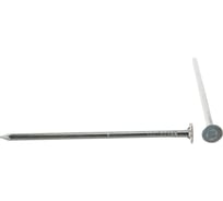 Гвозди с большой потайной головкой ЗУБР цинк 80 х 3.0 мм 14 шт. 4-305096-30-080