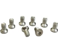 Комплект зажимных винтов FABTEC M6x12 мм для патрона CK-3.75ZN (8шт) КА-00073961