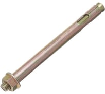 Анкерный болт с гайкой Стройметиз 10х77 желт.цинк (уп.20 шт) пакет 296667