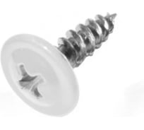 Саморез ARNO INDUSTRIES 4,2х25 мм 1кг. с прессшайбой острый для крепления листового металла и профиля RAL 9003 белый AB3704202593R98