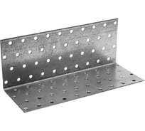 Уголок перфорированный равносторонний TOOLAS 80 х 80 х 200, 10 шт 4723