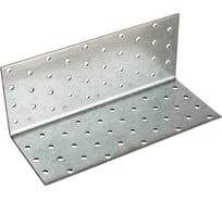 Уголок перфорированный равносторонний TOOLAS 60 х 60 х 200, 10 шт 4681