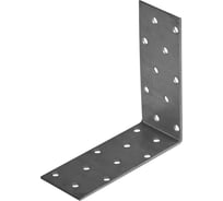 Уголок перфорированный равносторонний TOOLAS 100 х 100 х 40, 10 шт 4663