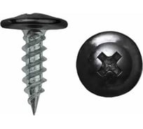 Саморез с прессшайбой Крепстор 4,2х19 острый RAL 9005 (черный янтарь), 250 шт. 4665317060978