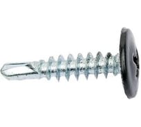 Саморез с прессшайбой Крепстор 4,2х19 сверло RAL 9005 (черный янтарь), 250 шт. 4665317061562