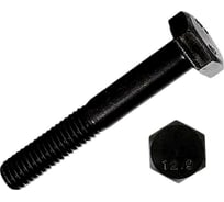 Болт высокопрочный 23 Болта 16х100 мм, DIN931,к.п.12.9 черный, 10 шт б12993116100ф10