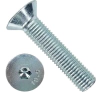 Винт потайной 23 Болта 10х20 под шестигранник ОЦ DIN7991 к.п.10.9,50 шт УТ000020837ф50