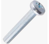 Винт ARNO INDUSTRIES 6х10 мм 20 шт.. с полукруглой головкой DIN 7985 для крепления деталей сталь оцинкованный AB1000601033098