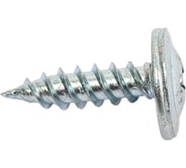 Саморезик ПРОМ Саморез 4,2х19 по металлу полусфера с пресс-шайбой, оцинк., острый (~15 кг) SWPSHO-4,2х19