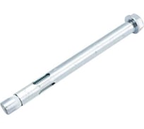 Клиновой анкер усиленный Insparion м20х200 (1шт) С1-00003583