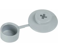 Шайба кровельная с колпачком Росдюбель (св.серая) (250 шт) арт. 16-0505