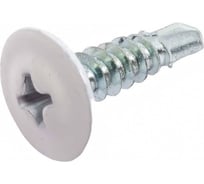 Саморез ARNO INDUSTRIES 4,2х25 1кг. с прессшайбой со сверлом для крепления листового металла RAL9003 белый AB3504202593507