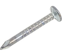 Толевые гвозди Восход-Метиз оцинкованные, 2,0x20 мм, 5 кг 82639820