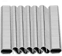 Скобы обычные DINGQI KC01008