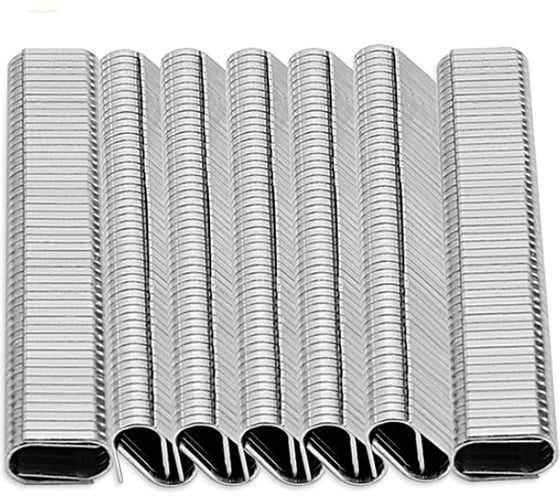 Скобы обычные DINGQI KC01008