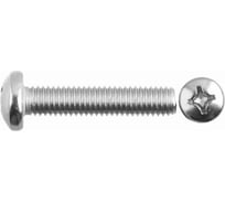 Винт с полукруглой головкой ООО "Клинский метизный завод" DIN 7985 М5 x 40 белый цинк, 1 кг ВПГ7985М540БЦ-1