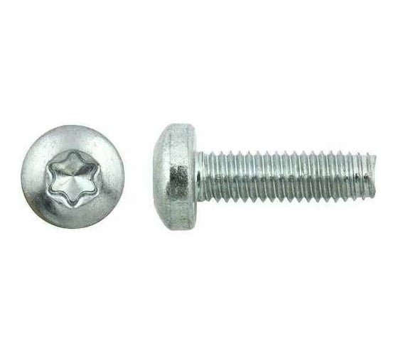 Винт ОПМ DIN 7500 М3х20 zn Form C-T 1000 шт УТ000028306