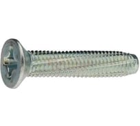 Винт ОПМ DIN 7516 М3х10 zn Form D-H 2000 шт П0000029922