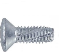 Винт ОПМ DIN 7516 М3х10 zn Form E-H 2000 шт УТ000112153