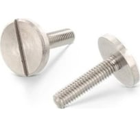 Винт DIN 921 М4х6 А1 100 шт ОПМ УТ000065523