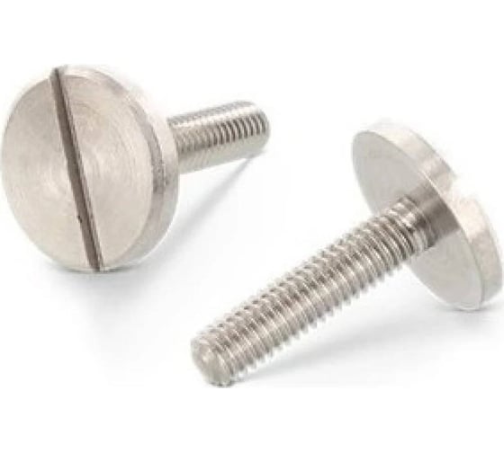 Винт DIN 921 М6х10 4.8/5.8 zn 100 шт ОПМ УТ000001863