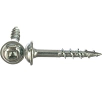 Шурупы с крупным шагом KREG 1", 100 шт. SML-C1-100