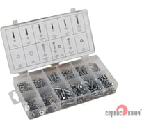 Набор метрических гаек и болтов Сервис Ключ 347 предметов 73347