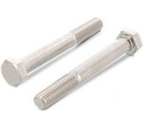 Болт ЦКИ Глобал ISO4014 М10х80 A4 2 шт 8363919