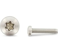 Резьбовыдавливающий винт ЦКИ DIN 7500C М2.5x10 A2 TX8 1000 шт. 71383