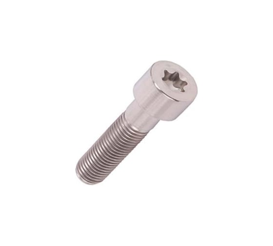 Винт ЦКИ Глобал ISO14580 М5х25 A2 TX25 20шт 59859
