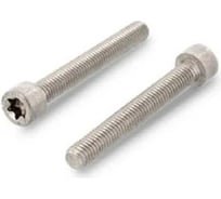 Винт ЦКИ Глобал ISO14579 М3х8 A2 TX 10 аналог DIN912 50 шт 702999007