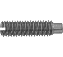 Установочный винт ЦКИ DIN 417 М10x16 A2 100 шт. 71429