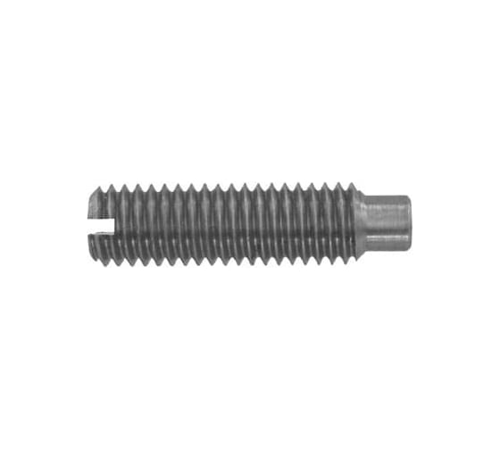 Установочный винт ЦКИ DIN 417 М3x5 A2 200 шт. 71431