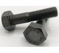 Болт Крепстор 24х100 кл.пр.10.9 ГОСТ Р52644-06 оксид. 1 шт. 4665317069964