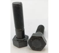 Болт Крепстор 16х60 кл.пр.10.9 ГОСТ Р52644-06 оксид. 2 шт. 4665317069896