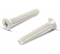 Резьбовыдавливающий винт ЦКИ DIN 7500M М5x25 A2 PZ2 500 шт. 71412