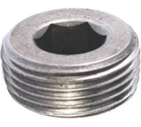 Пробка коническая ЦКИ Глобал DIN906 R 3/8 А2 2шт 55709
