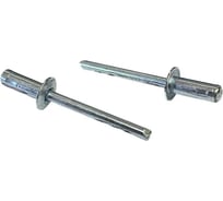 Заклепка ОПМ ISO 15976 d3,2х16 St/St закрытая с плоской головкой ~ 1000 шт УТ000173369