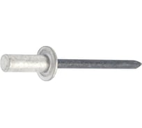 Заклепка комбинированная СаМат Плюс 4,8х8,5 Ал/Ст (закрытая) (20 шт) KRP-4297